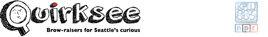 Quirksee logo